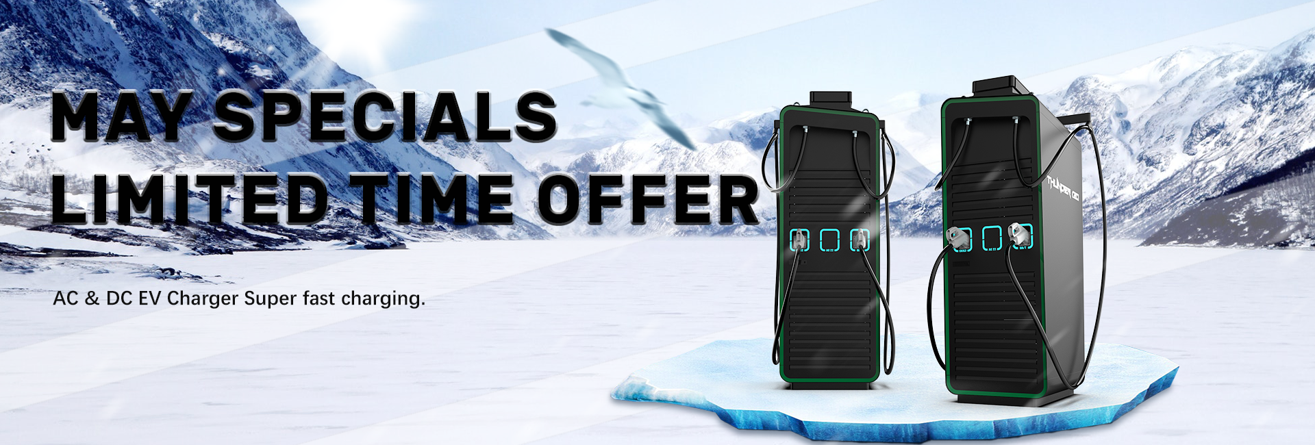 thunder dc ev charger